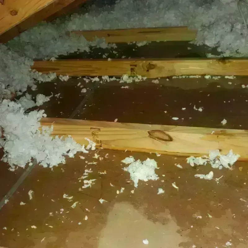 Attic Water Damage in Wesley Chapel, NC