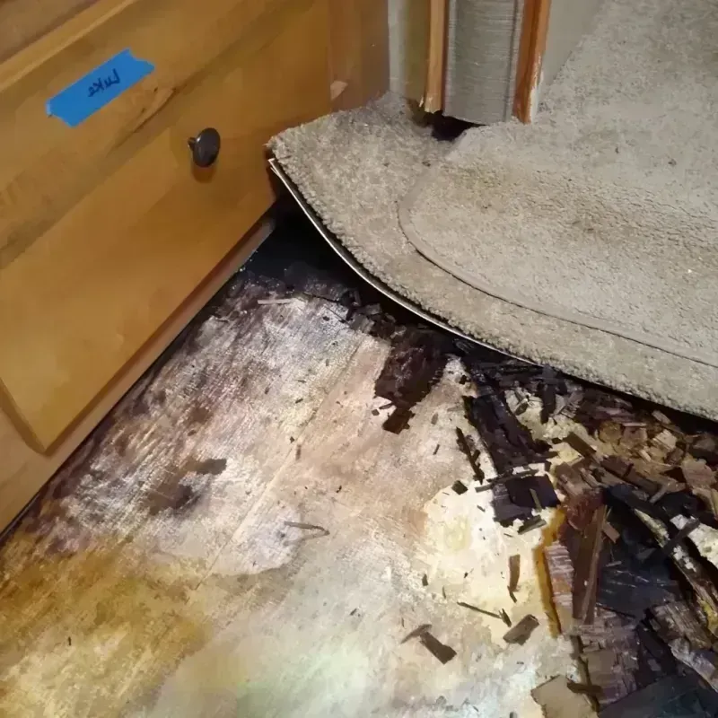 Wood Floor Water Damage in Wesley Chapel, NC